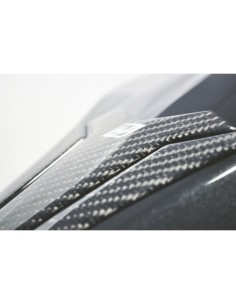 PROTECTOR DEPOSITO CARBONO... 2