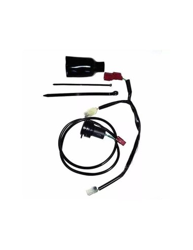 CABLE CONECCION CENTRALITA TRIUMPH