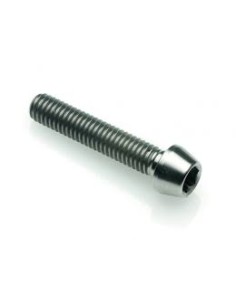 TORNILLO TRIUMPH M10X65