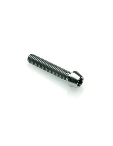 TORNILLO TRIUMPH M10X65