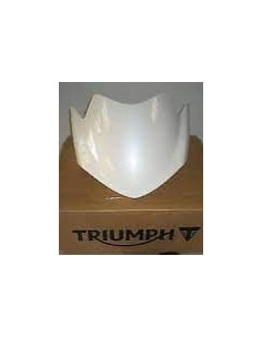 CUPULA TRIUMPH STREET TRIPLE CRYSTAL