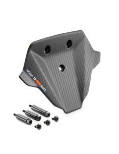 Kit de cúpula de carbono KTM 1390 Super Duke R 2024